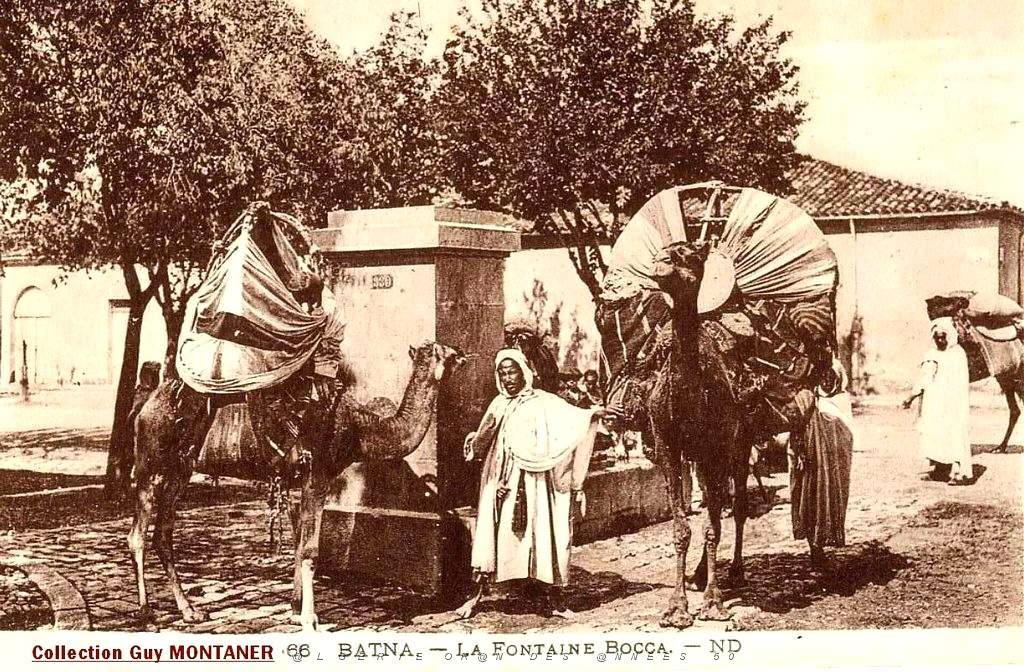 Images d'Algerie 308e.JPG
